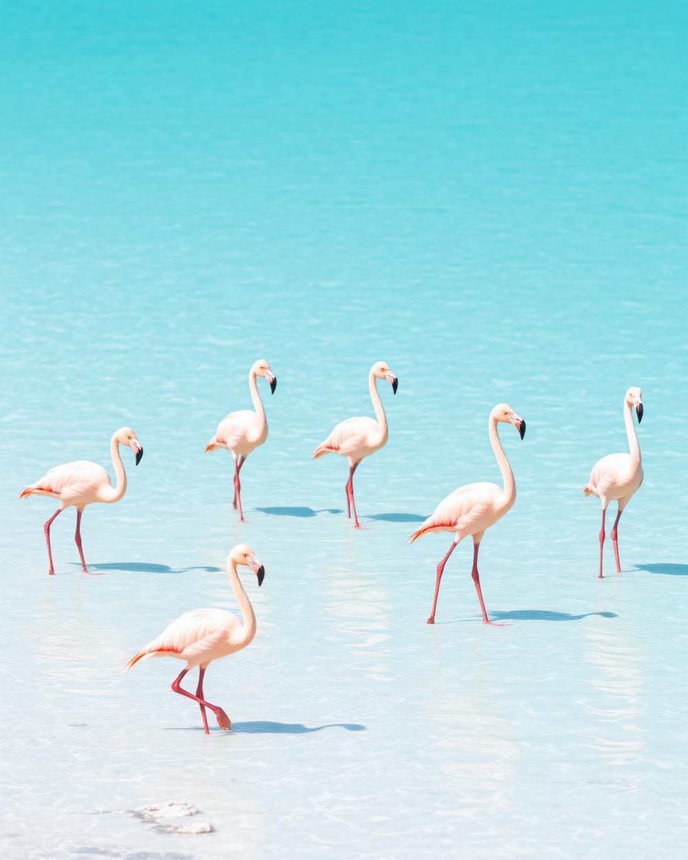Holbox Island Getaway